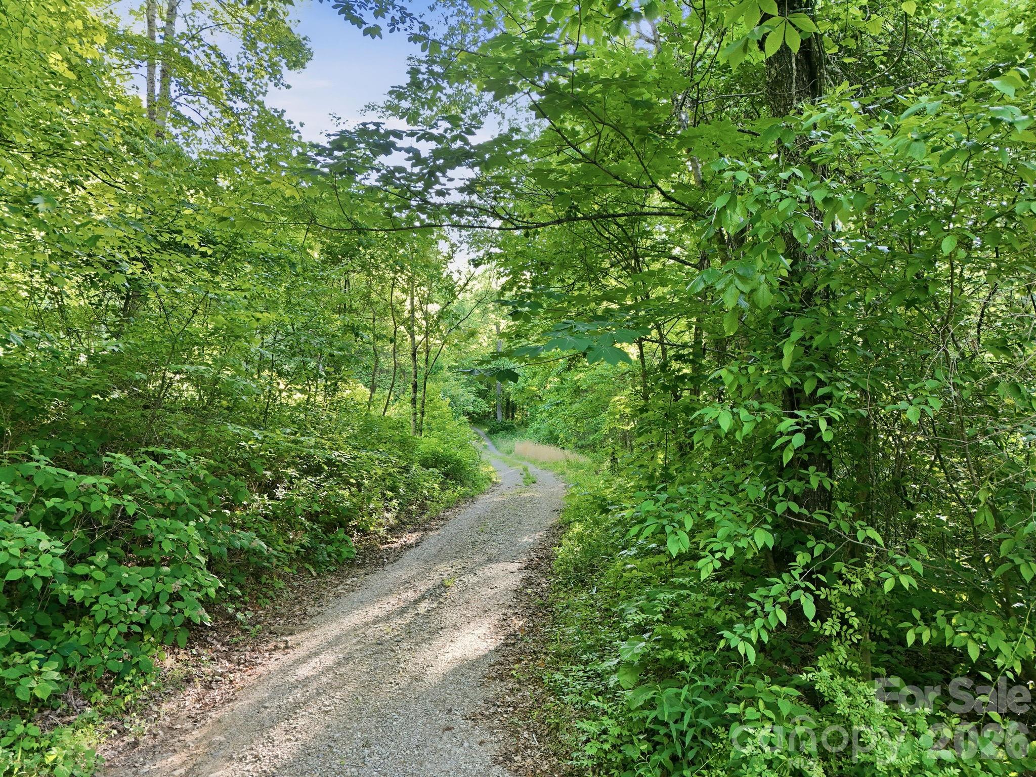 98 Sparkling Springs Road Fairview NC 28730