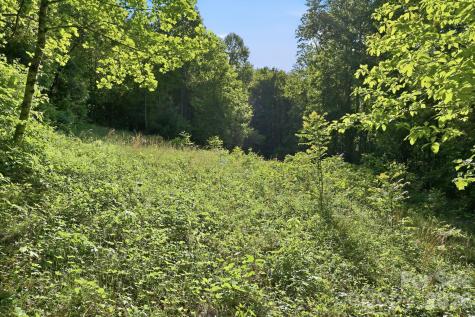 98 Sparkling Springs Road Fairview NC 28730