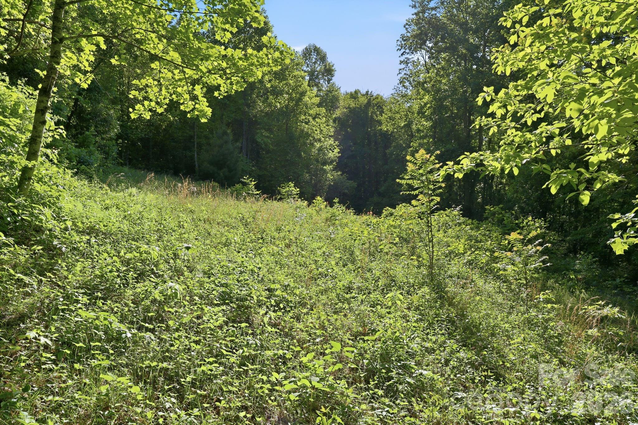 98 Sparkling Springs Road Fairview NC 28730
