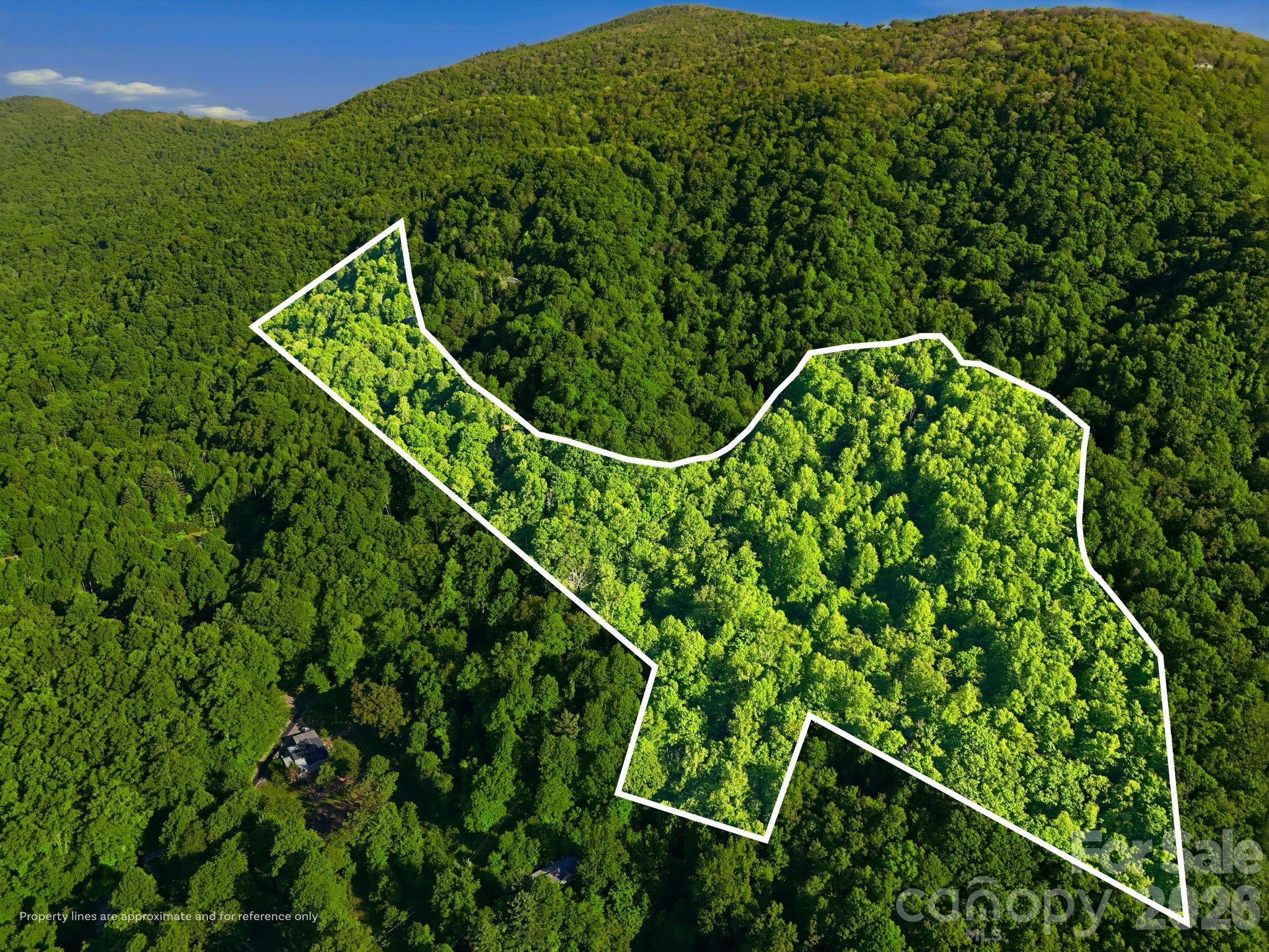 98 Sparkling Springs Road Fairview NC 28730