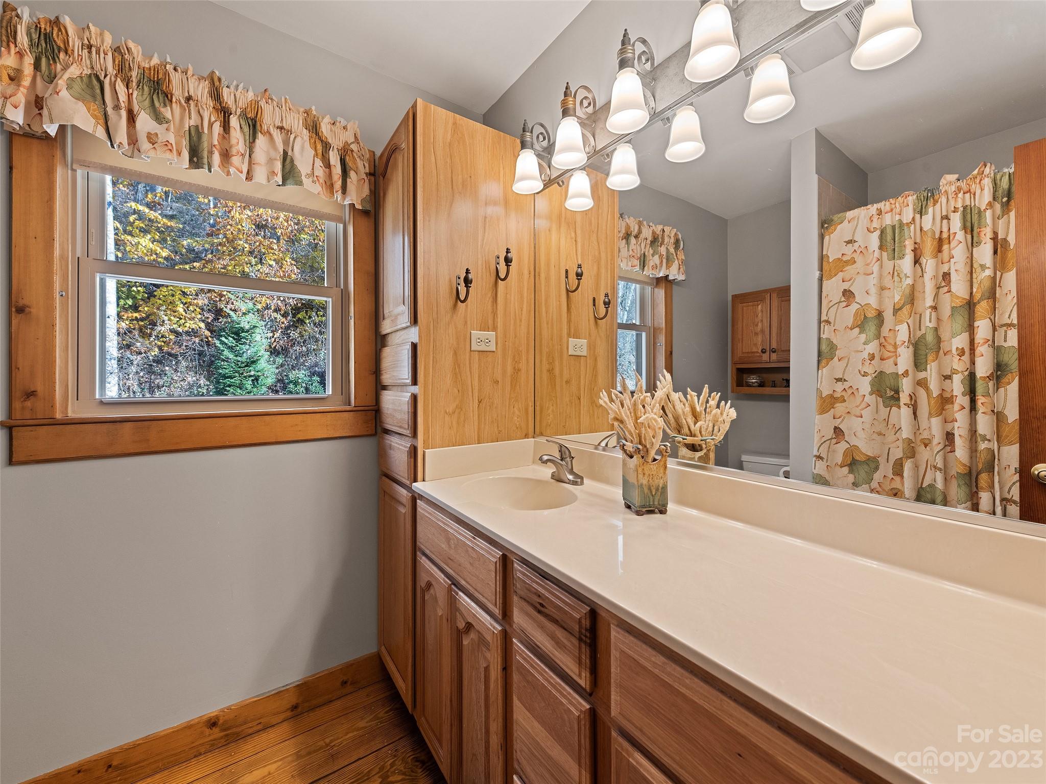 465 Hawk Haven Cove Waynesville NC 28786