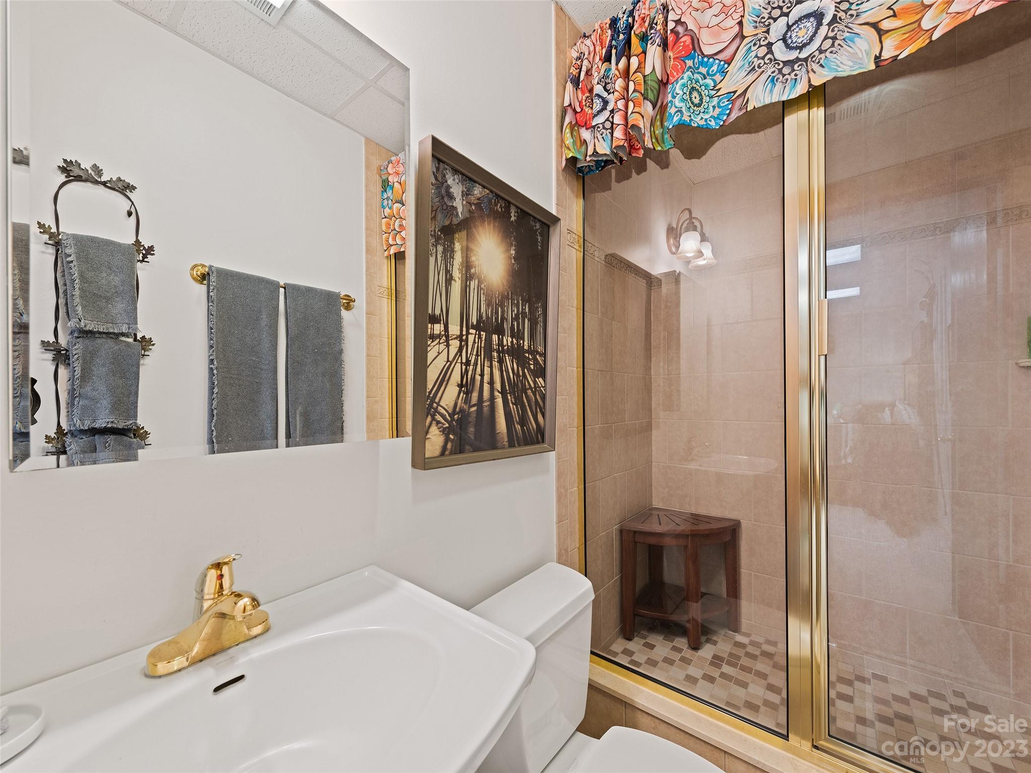 465 Hawk Haven Cove Waynesville NC 28786