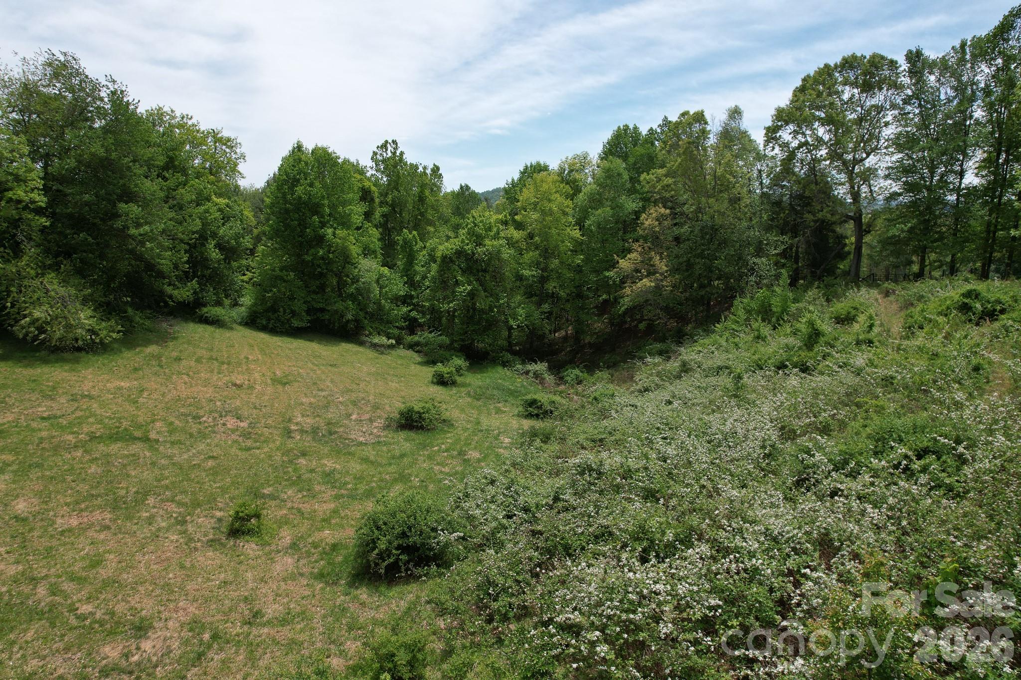4532 Nc Hwy 18 N Sparta NC 28675
