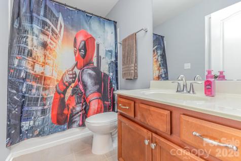 133 Lassen Lane Mooresville NC 28117