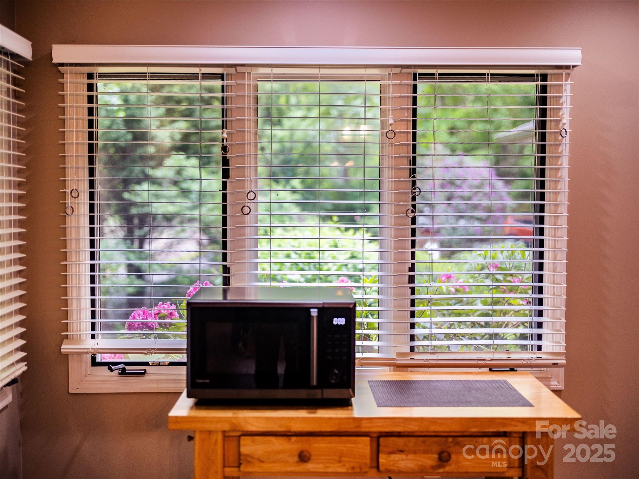 30 Robin Lane Asheville NC 28806