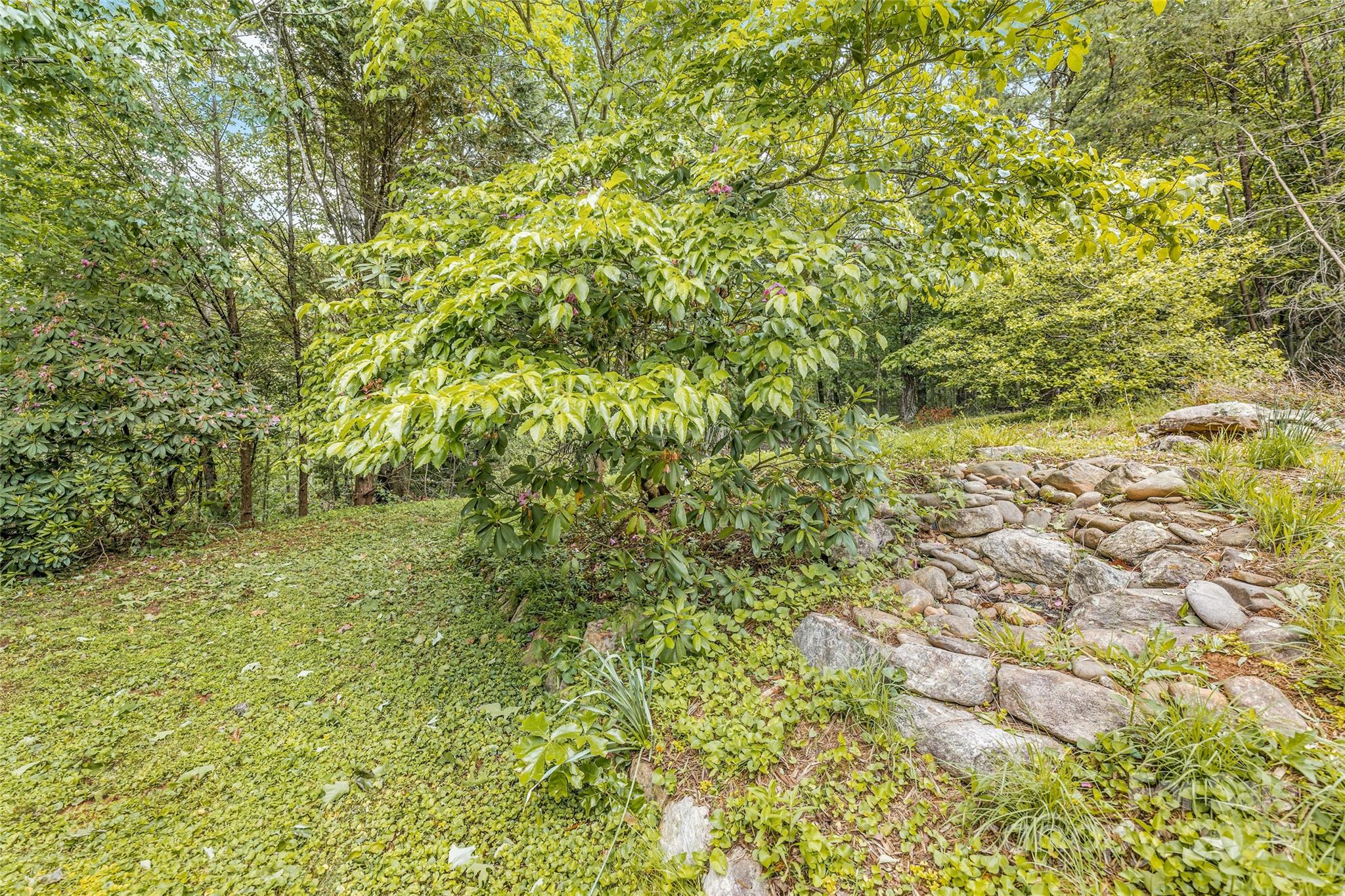 30 Robin Lane Asheville NC 28806