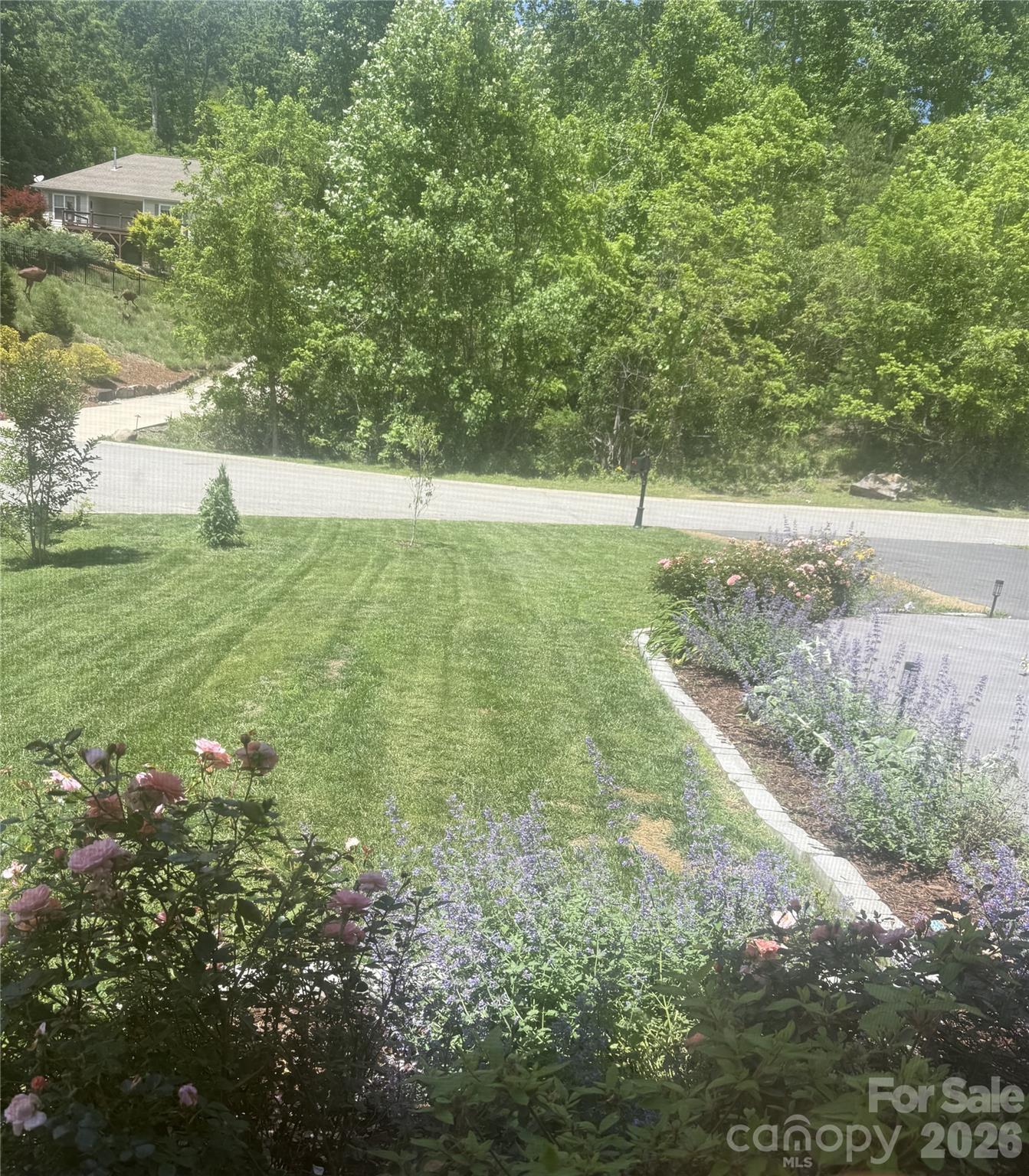 46 Carden Drive Weaverville NC 28787