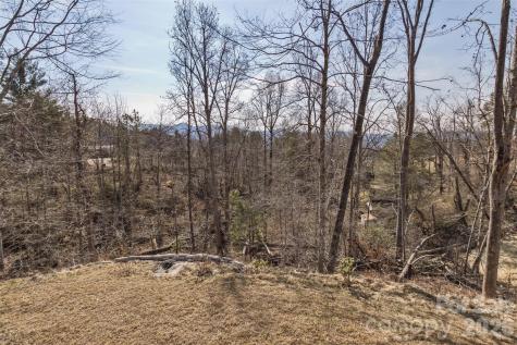 46 Carden Drive Weaverville NC 28787