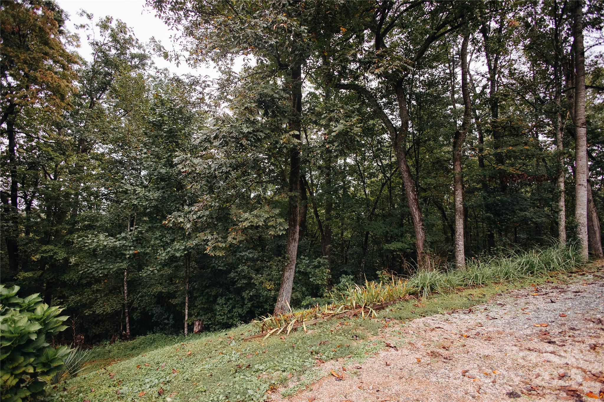 325 Griggs Road Old Fort NC 28762