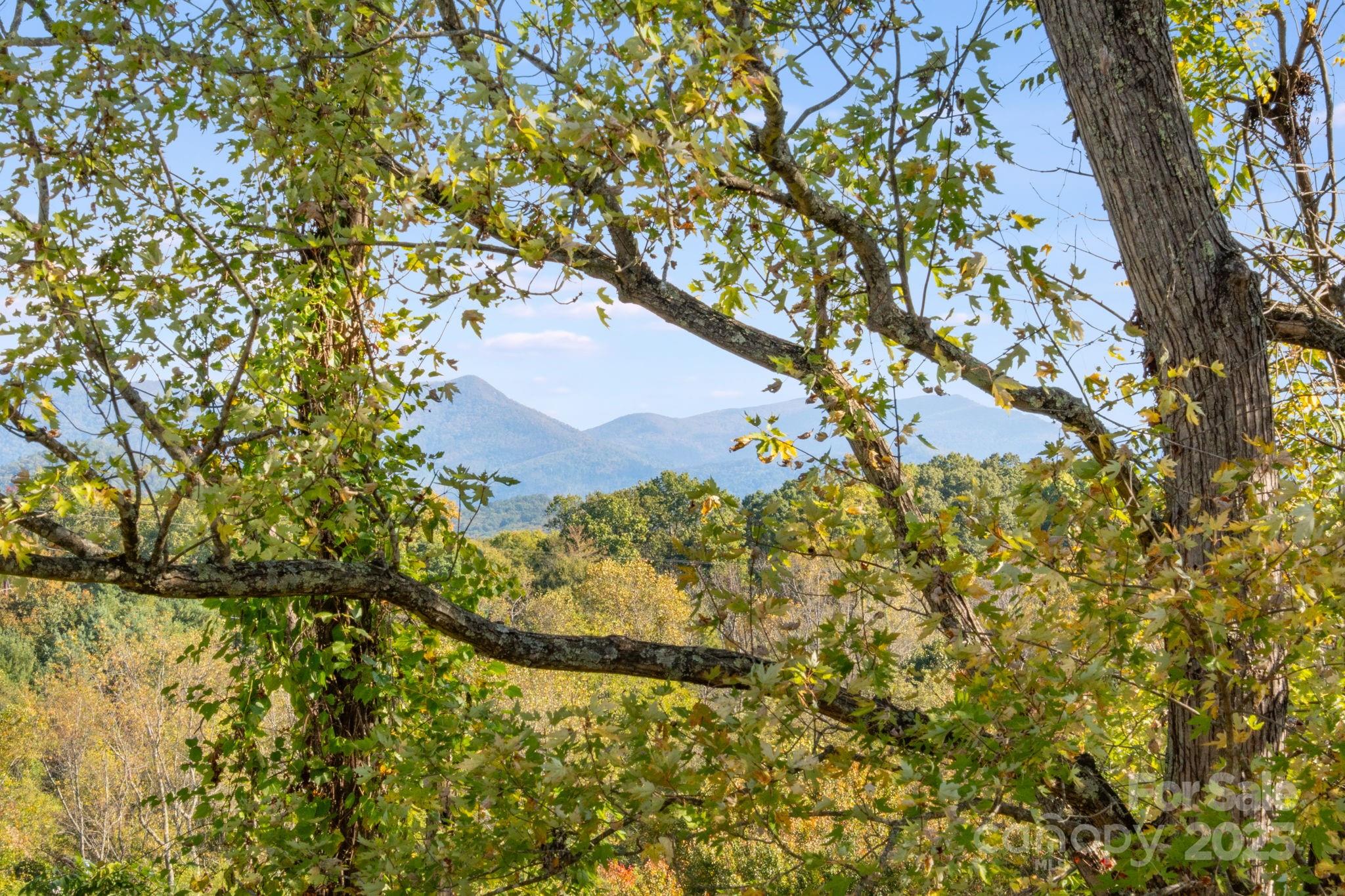 22 Crestview Street Asheville NC 28803