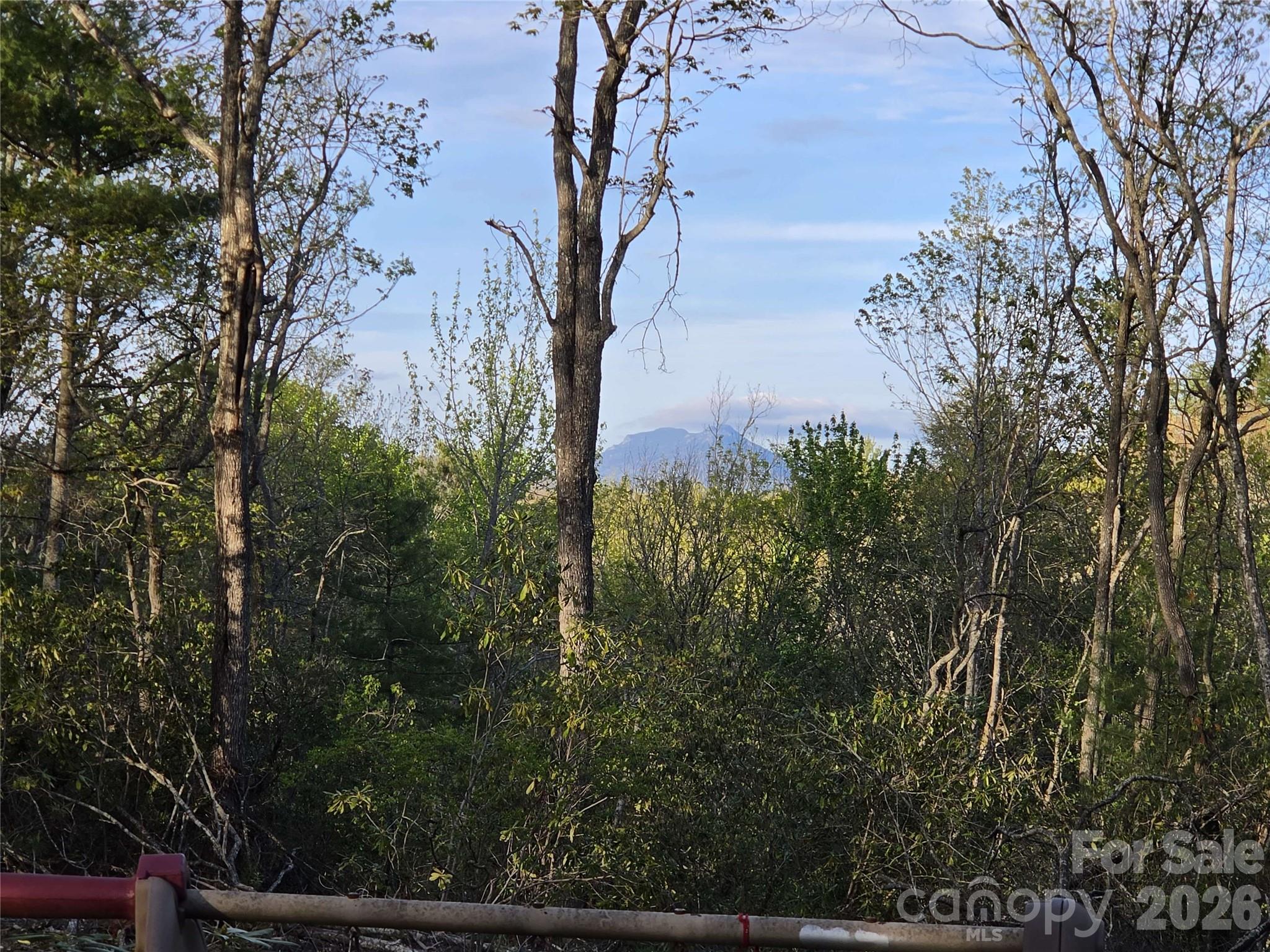 692 Buck Hill Road Newland NC 28657
