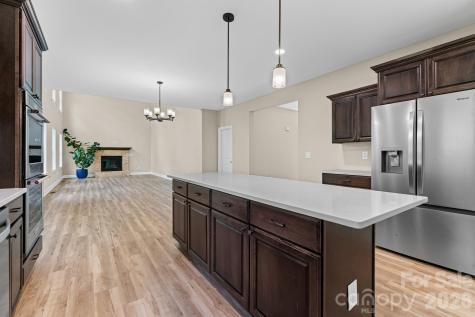 160 Tullyries Lane Lewisville NC 27023