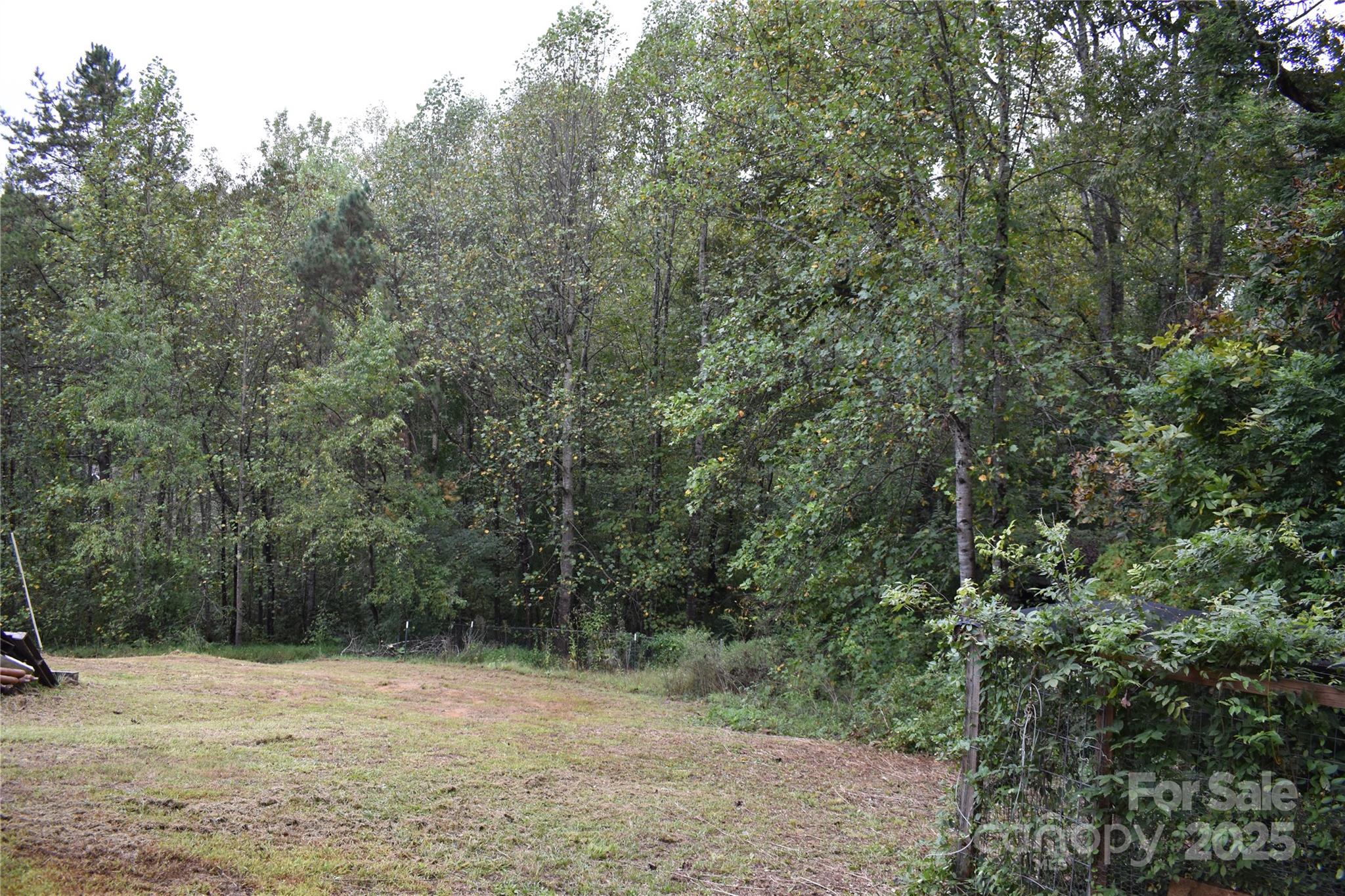 91 Myers Norton Drive Old Fort NC 28762