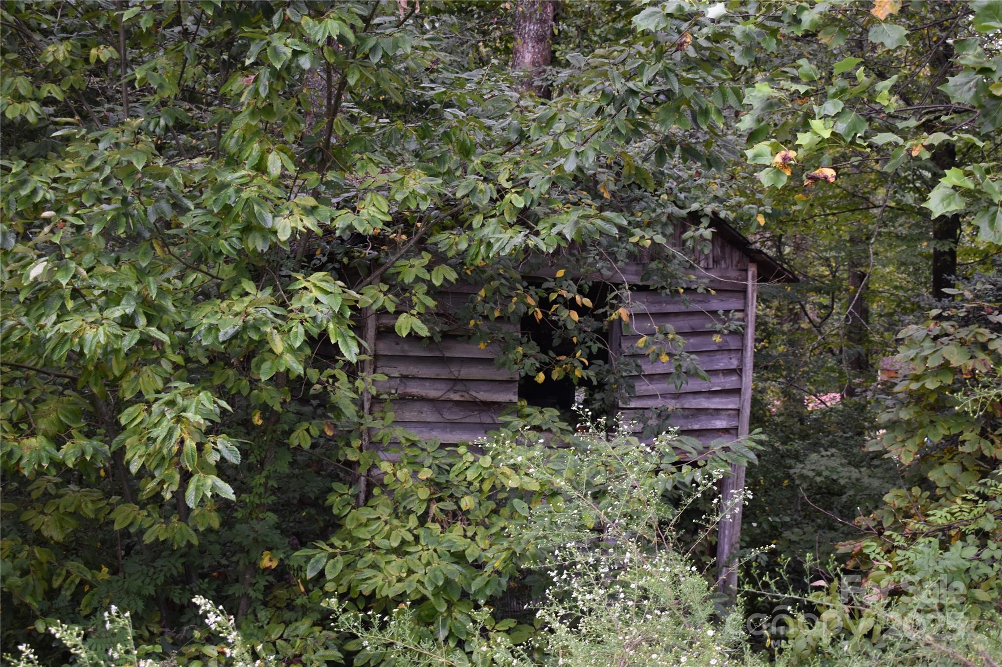 91 Myers Norton Drive Old Fort NC 28762