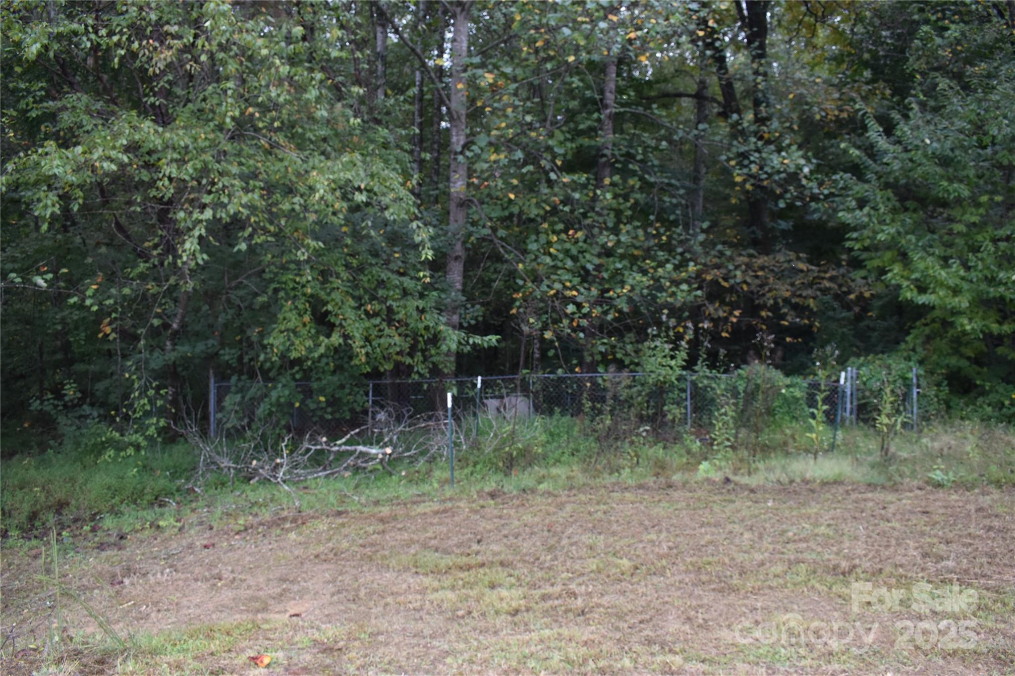 91 Myers Norton Drive Old Fort NC 28762