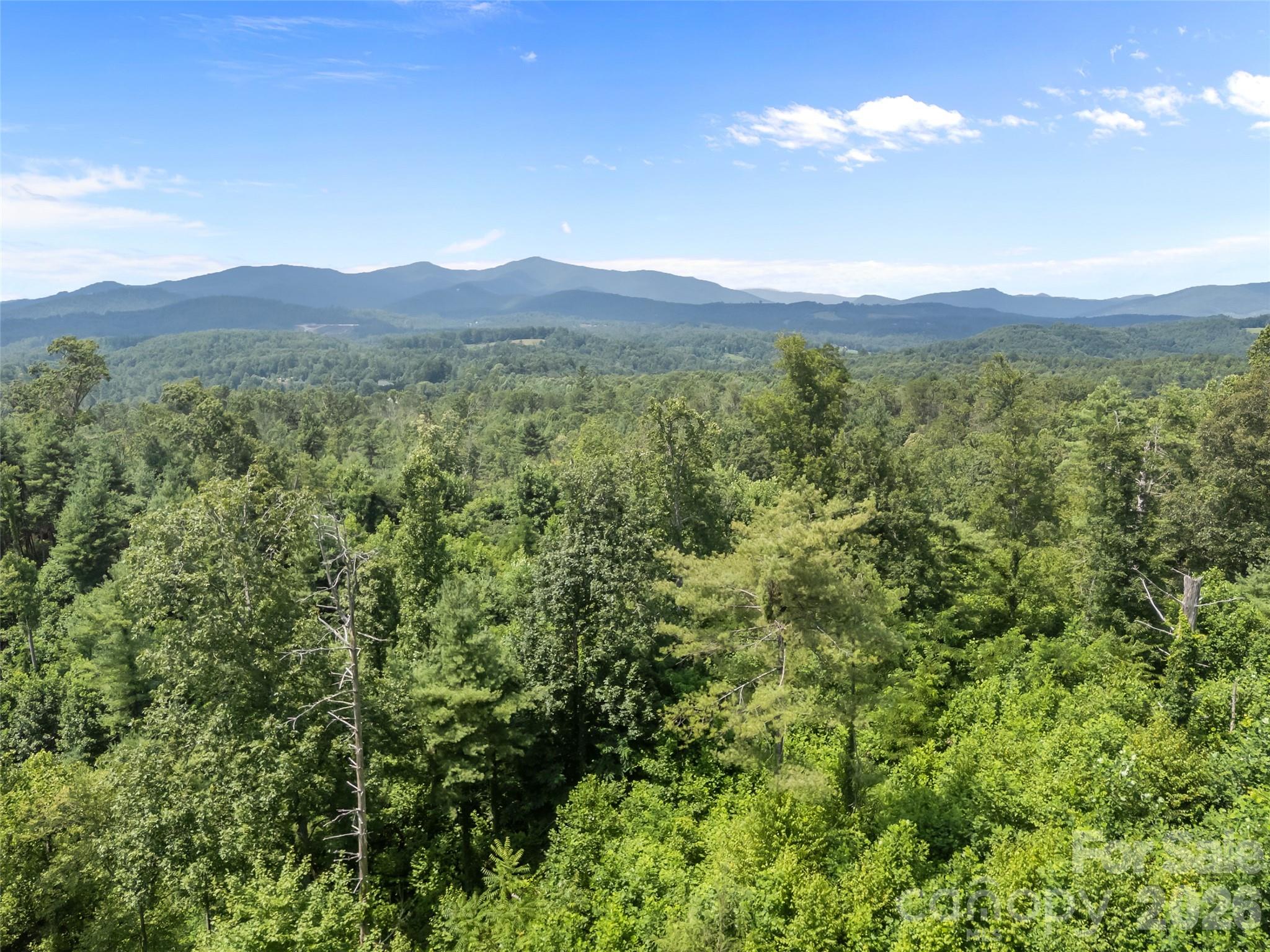 1305 Halltown Road Spruce Pine NC 28777