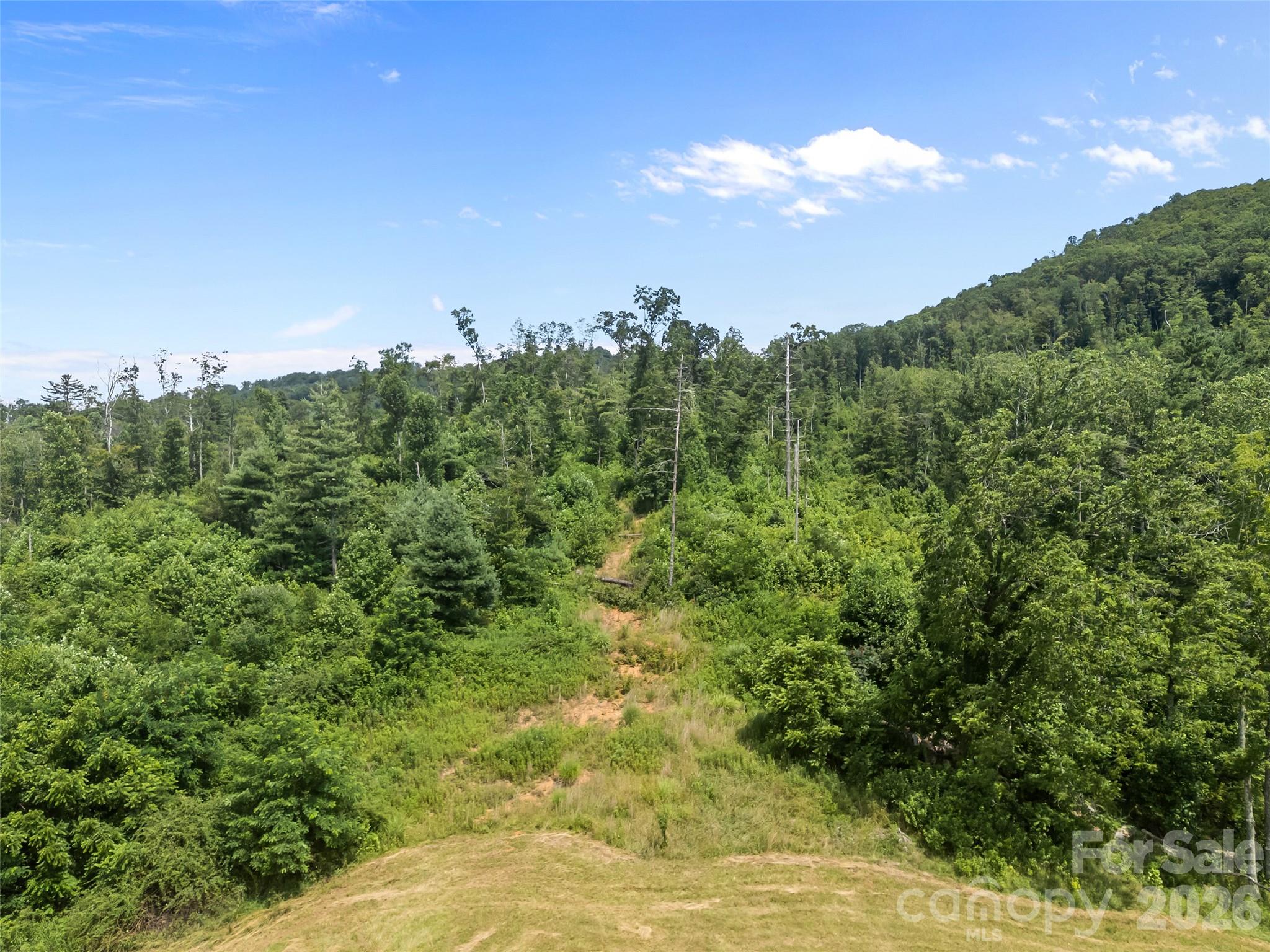 1305 Halltown Road Spruce Pine NC 28777