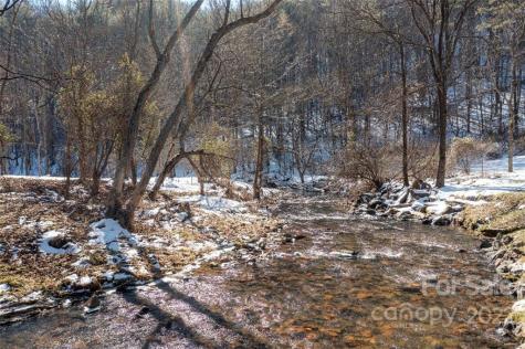 8184 Jacks Creek Road Green Mountain NC 28740