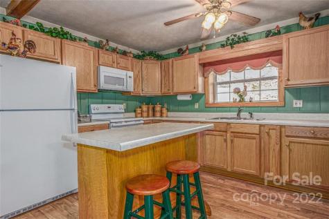 8184 Jacks Creek Road Green Mountain NC 28740
