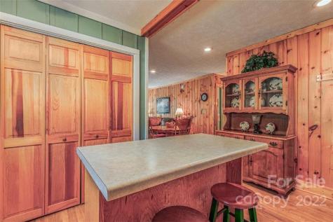 8184 Jacks Creek Road Green Mountain NC 28740