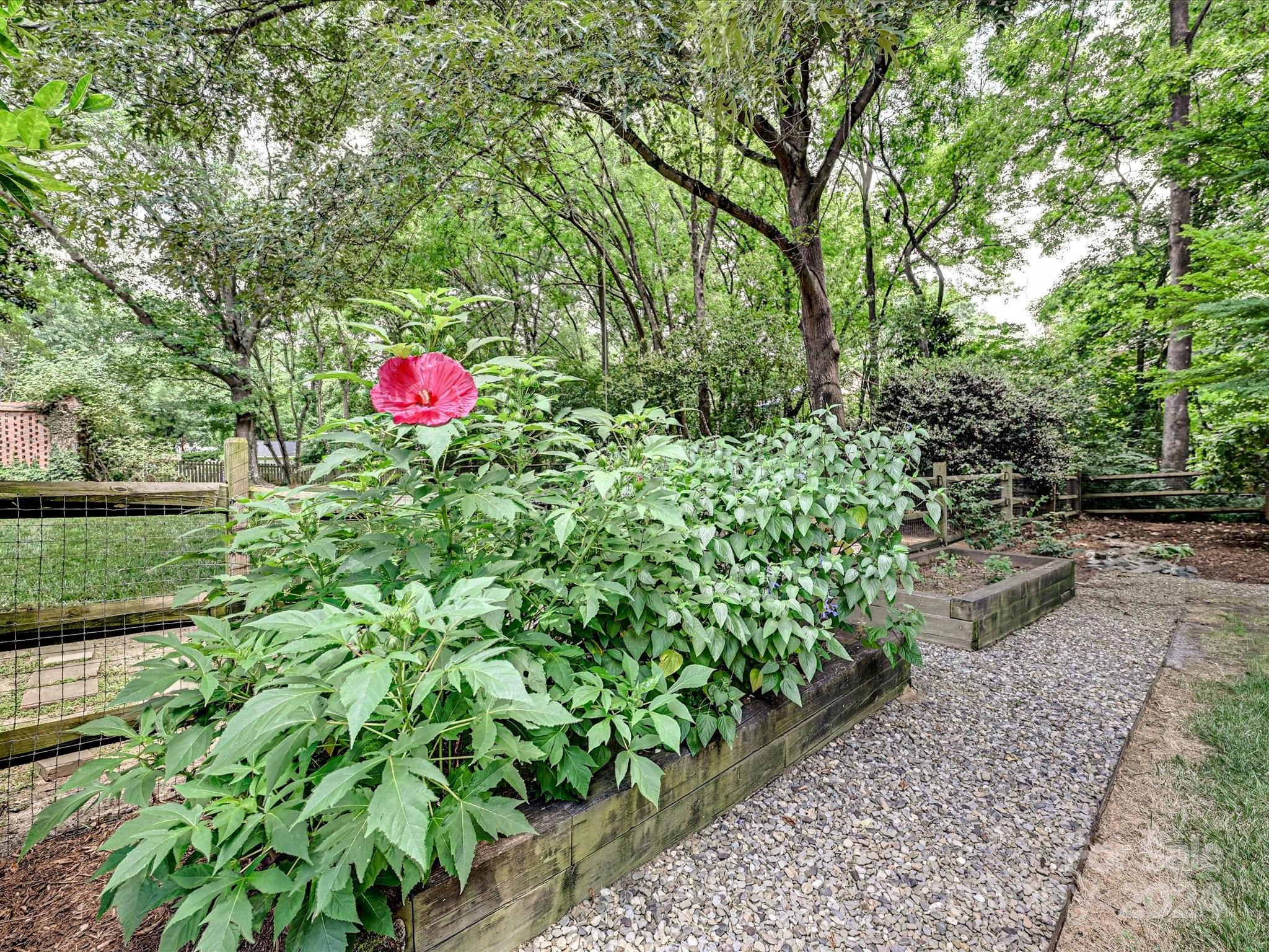 2450 Ainsdale Road Charlotte NC 28226