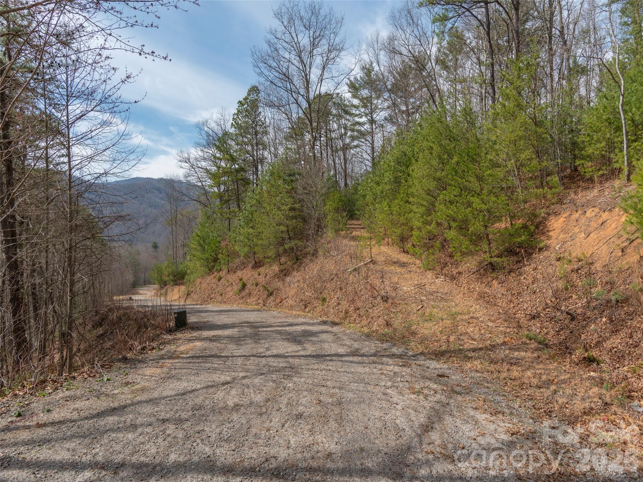 454 Dream Valley Drive Clyde NC 28721