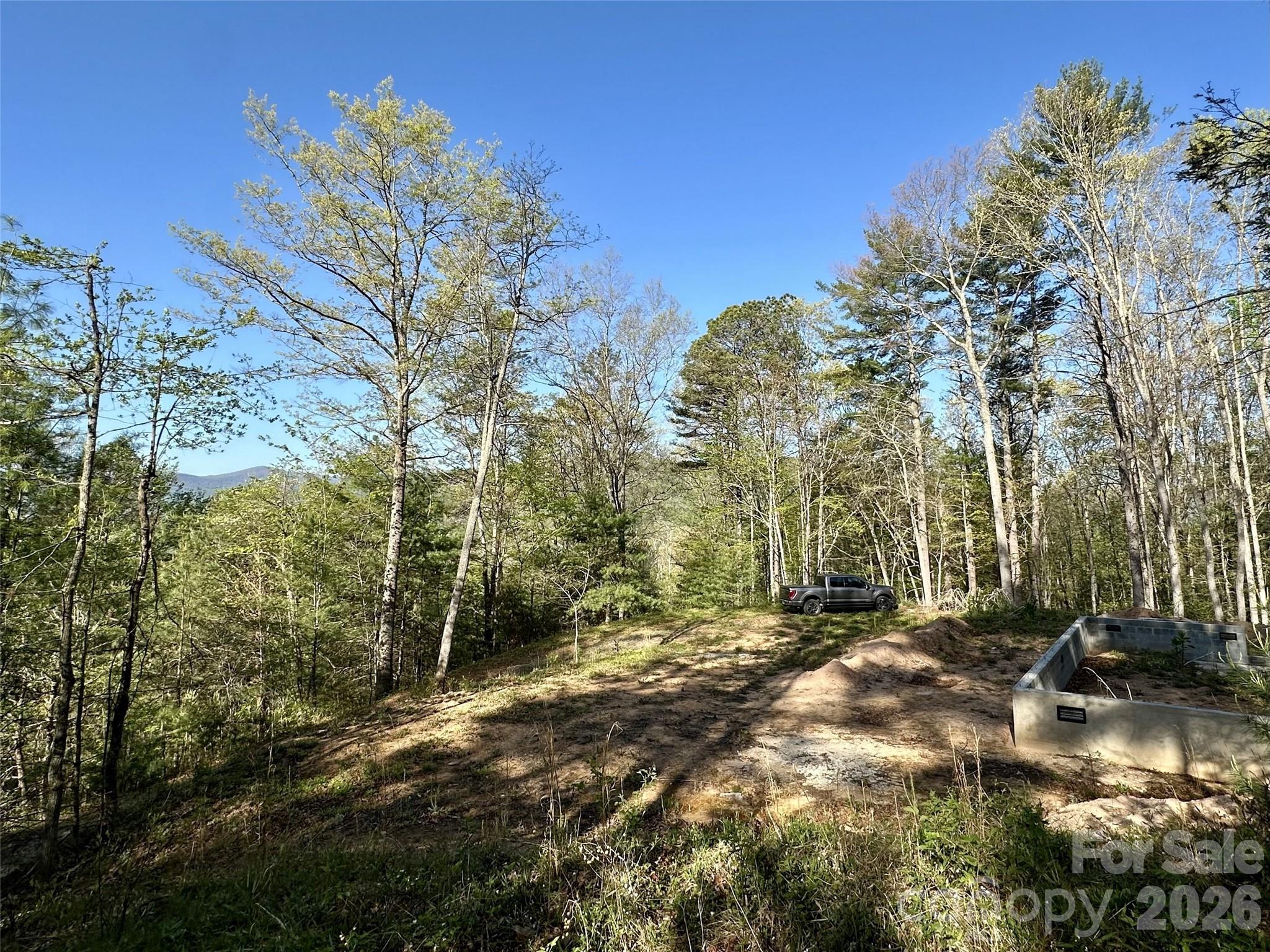 454 Dream Valley Drive Clyde NC 28721