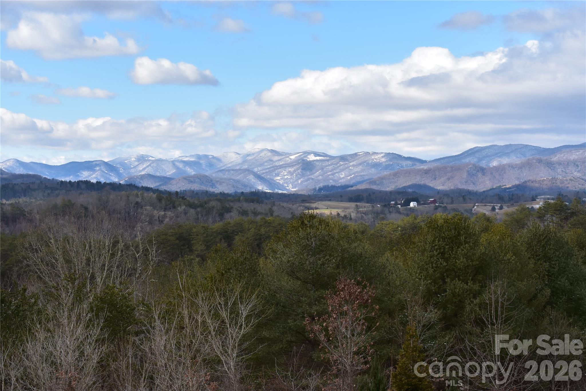 44 Dane Acres Drive Alexander NC 28701