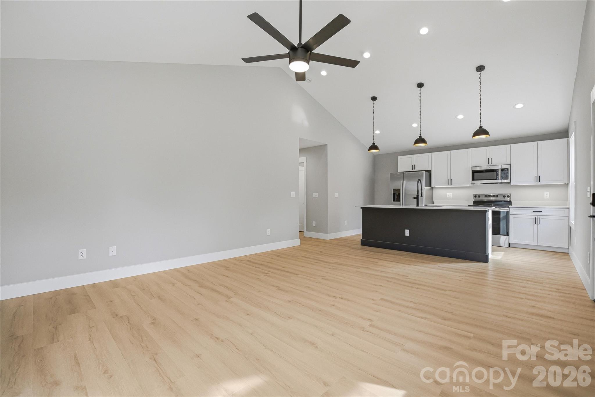 133 Moore Street Hendersonville NC 28739