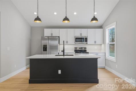 133 Moore Street Hendersonville NC 28739
