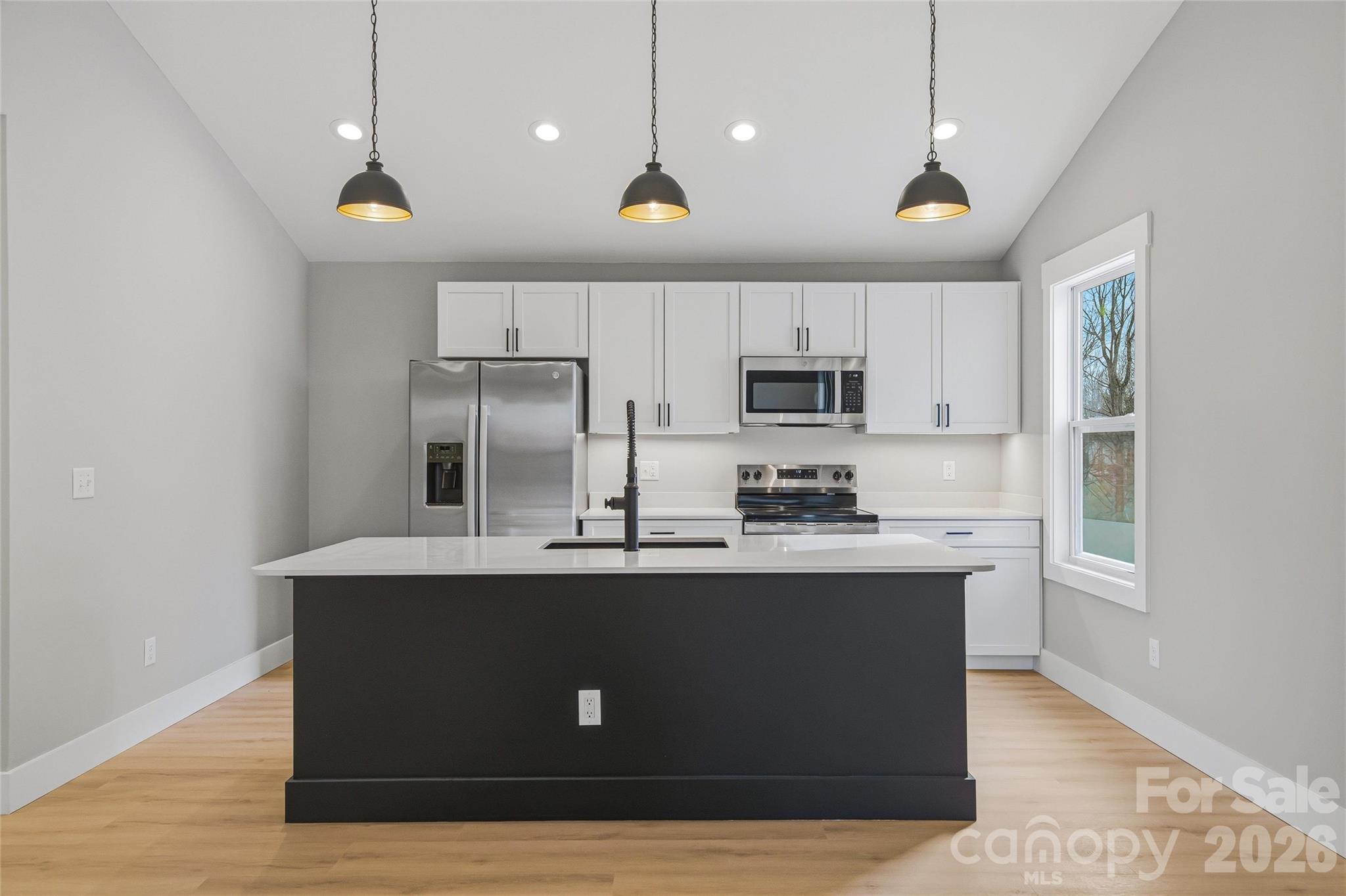 133 Moore Street Hendersonville NC 28739
