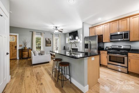 95 Old Haw Creek Road Asheville NC 28805