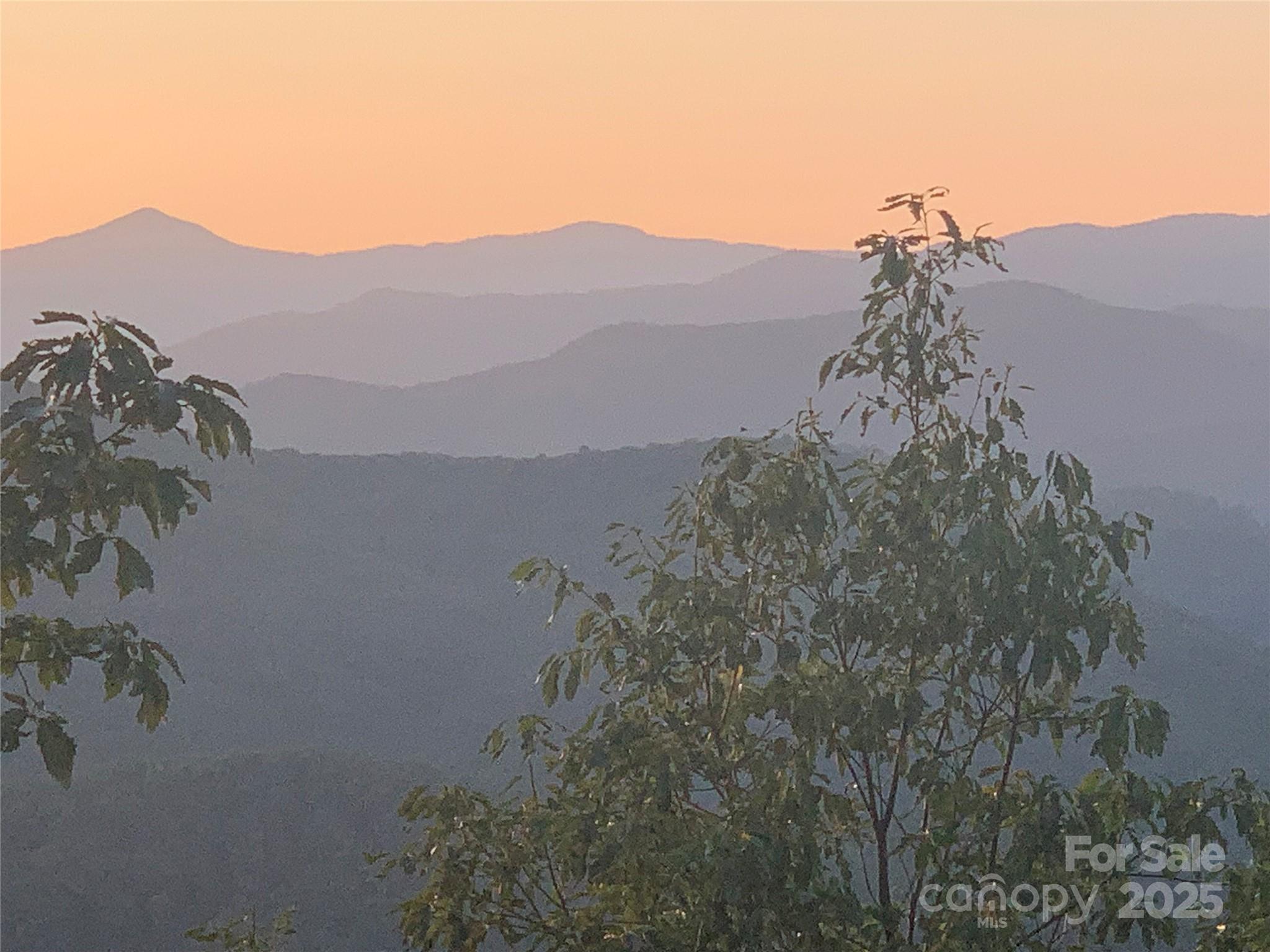 2998 Creston Drive Black Mountain NC 28711