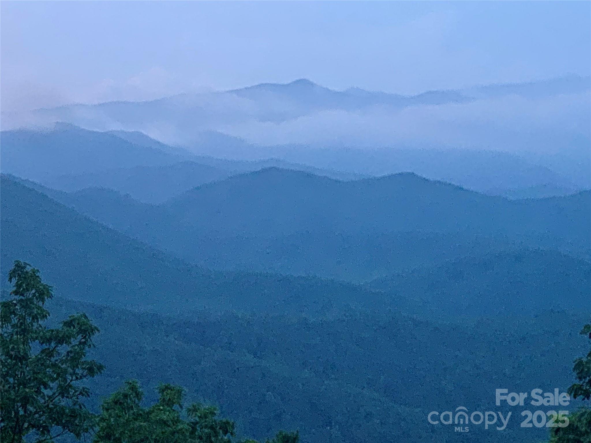 2998 Creston Drive Black Mountain NC 28711