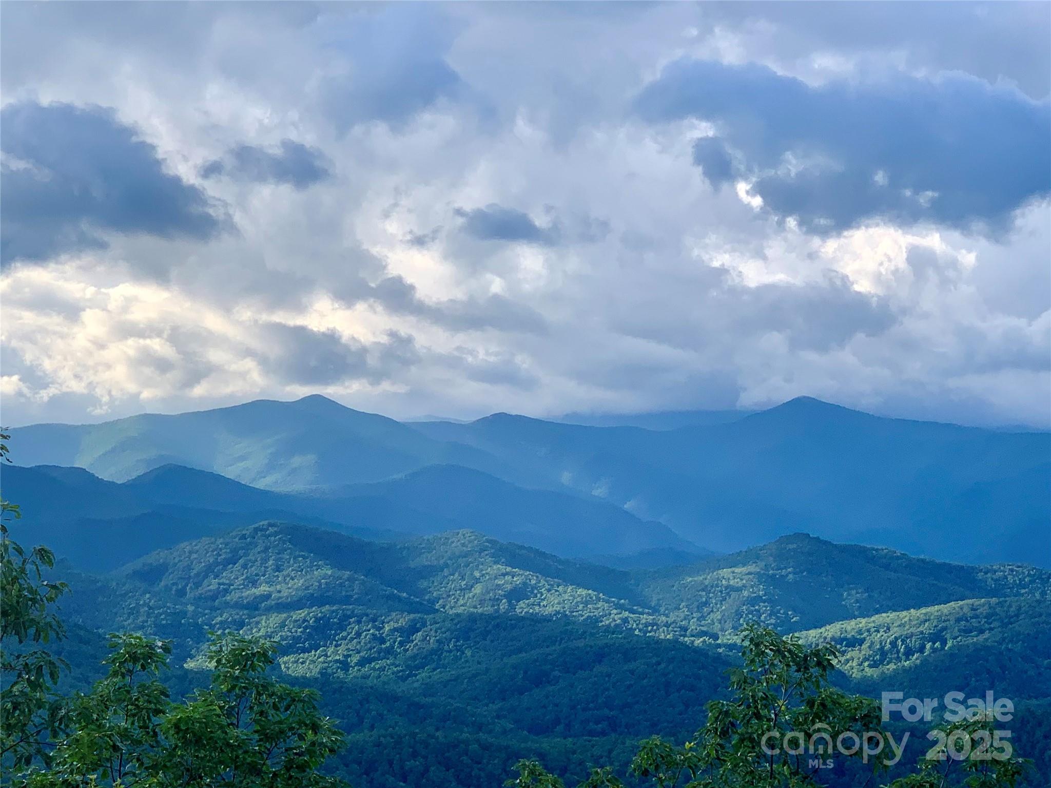 2998 Creston Drive Black Mountain NC 28711