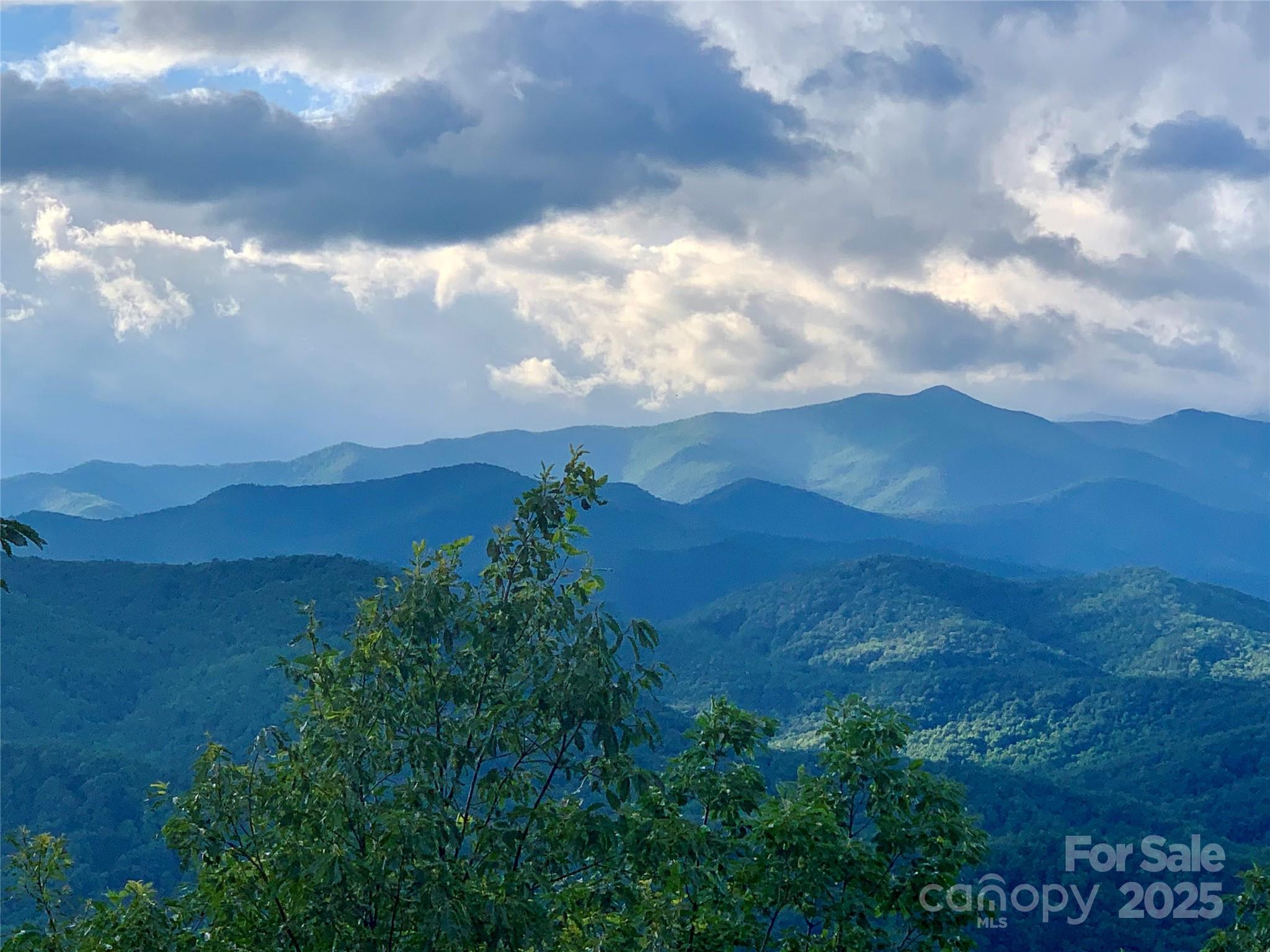 2998 Creston Drive Black Mountain NC 28711