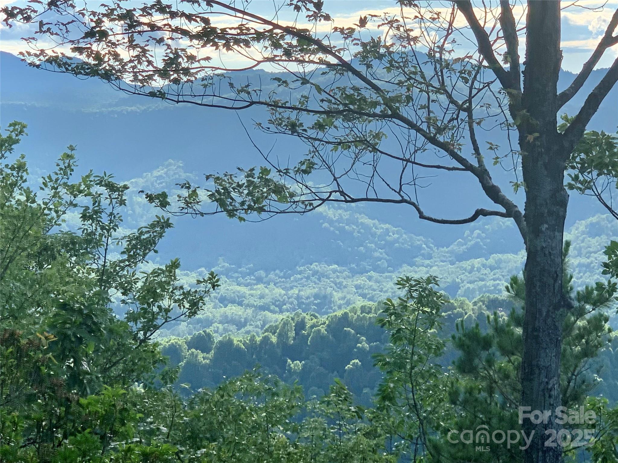 2998 Creston Drive Black Mountain NC 28711