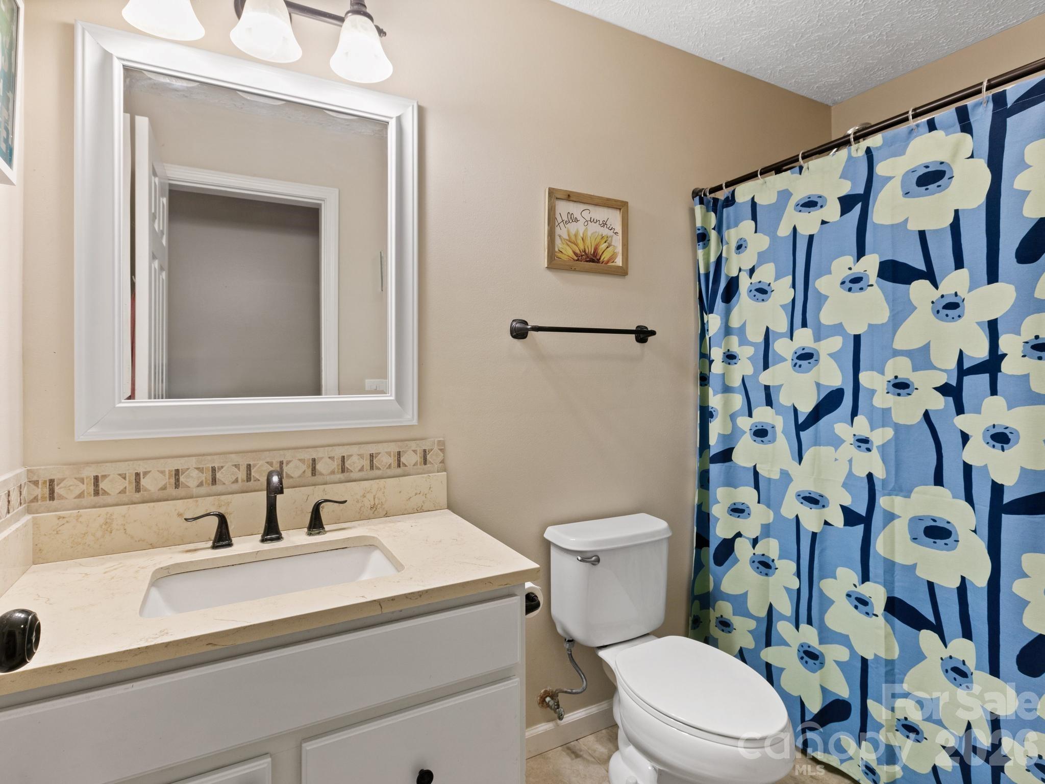 38 Brown Lynch Road Candler NC 28715