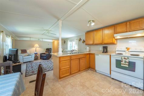 28 Brooks Cove Road Black Mountain NC 28711