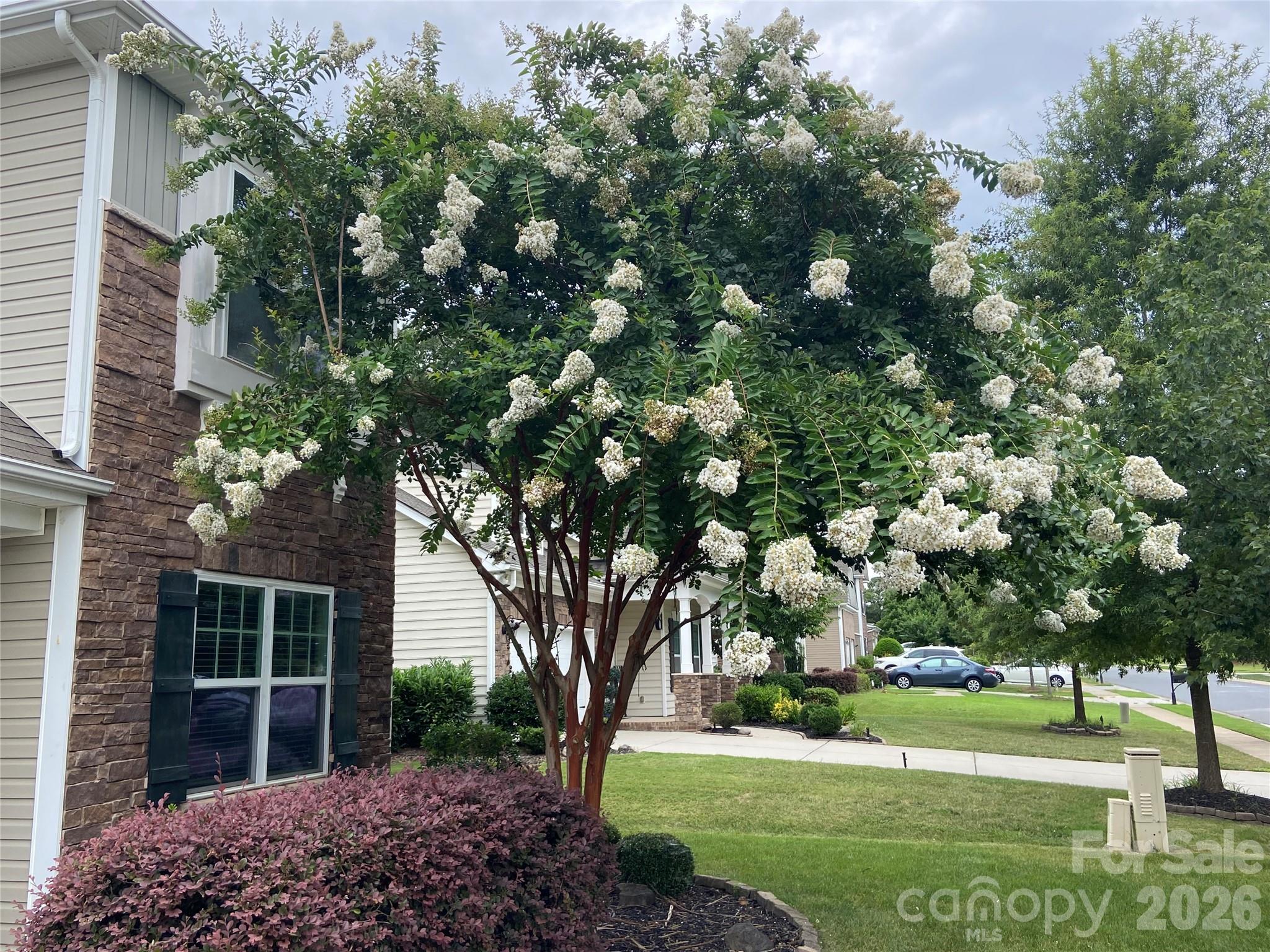 6111 Berewick Commons Parkway Charlotte NC 28278