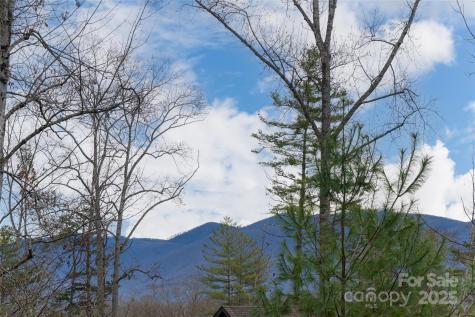 42 Towering Oaks Lane Asheville NC 28805