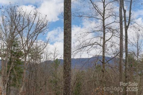 42 Towering Oaks Lane Asheville NC 28805