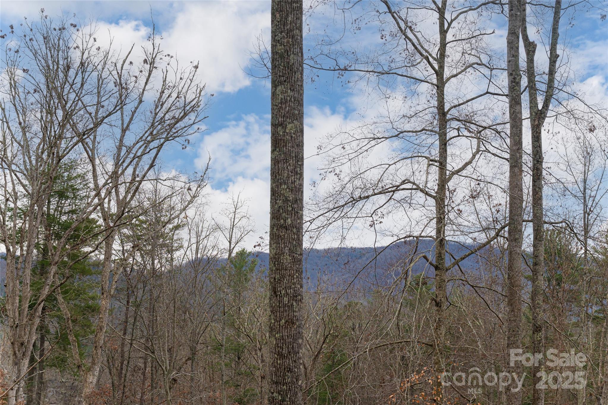 42 Towering Oaks Lane Asheville NC 28805