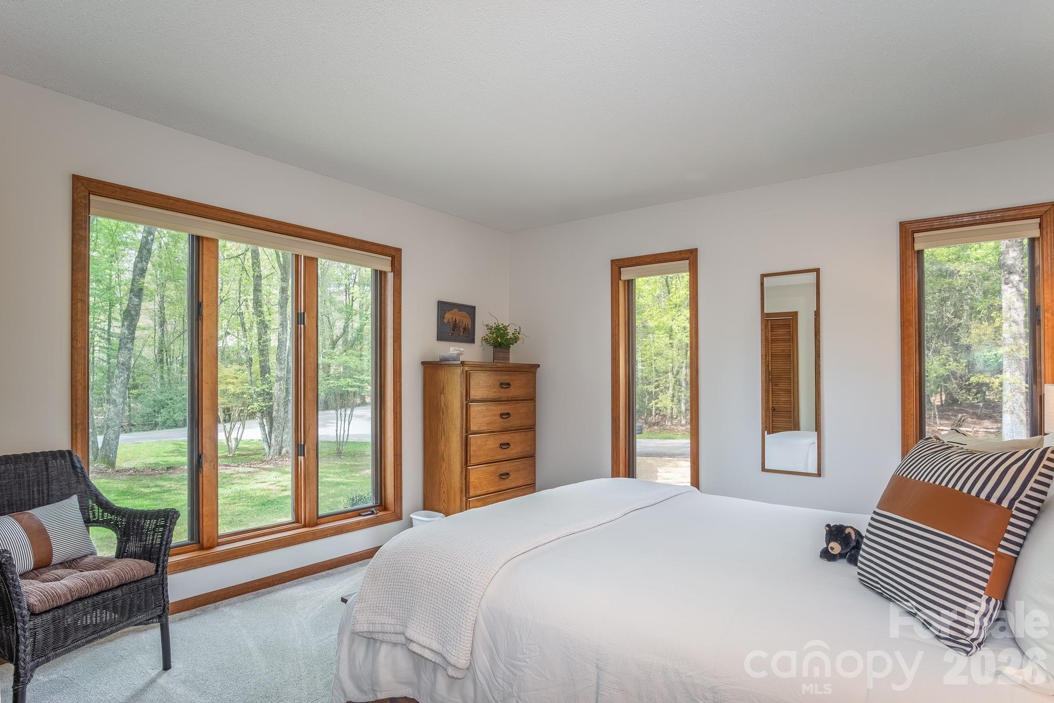 22 Dalonigei Court Brevard NC 28712
