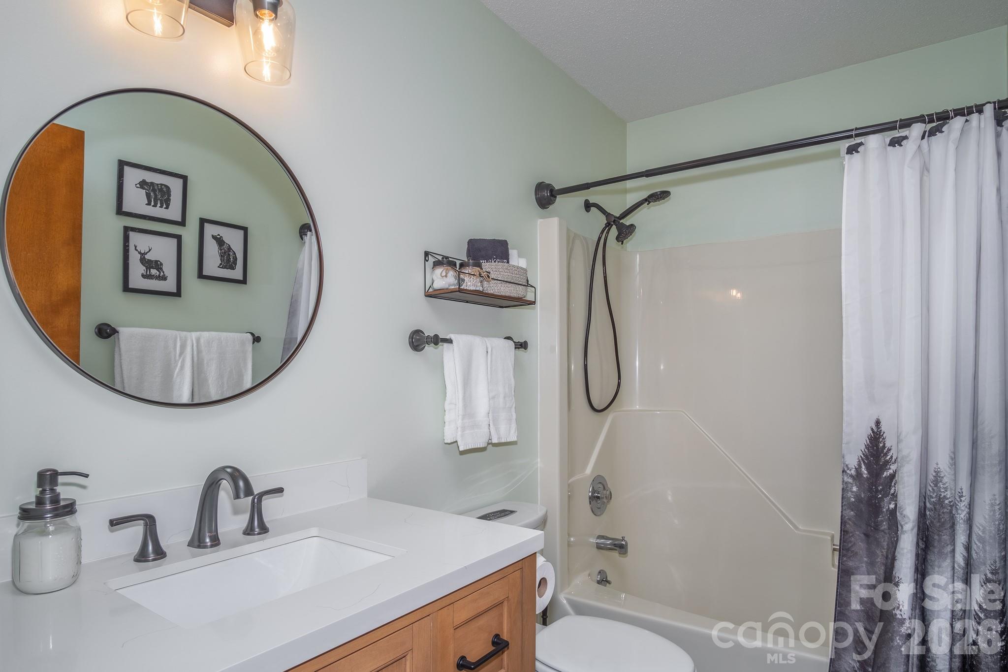 22 Dalonigei Court Brevard NC 28712