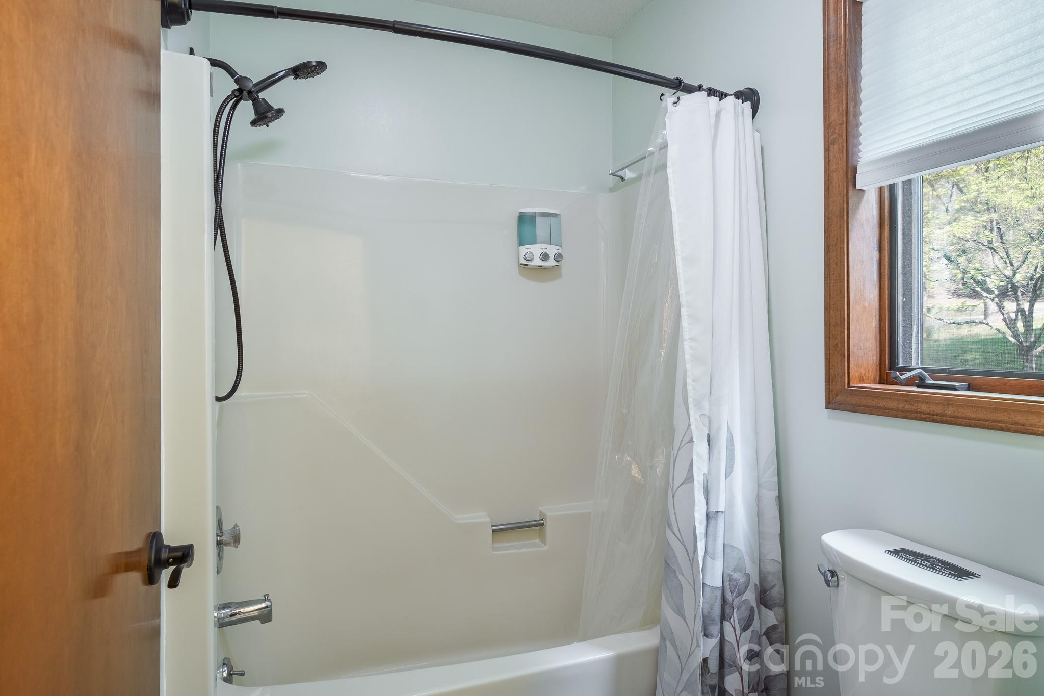 22 Dalonigei Court Brevard NC 28712
