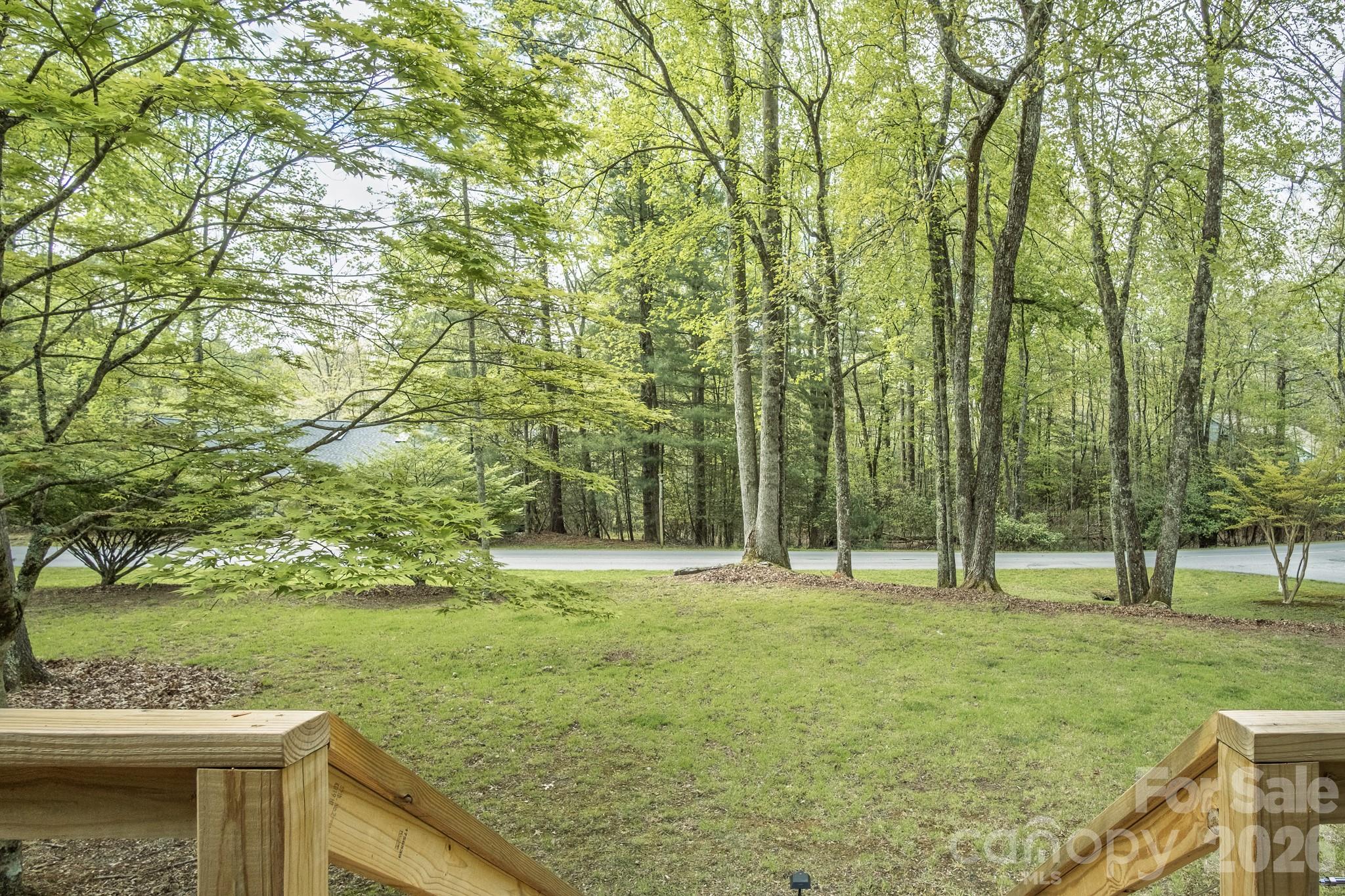 22 Dalonigei Court Brevard NC 28712