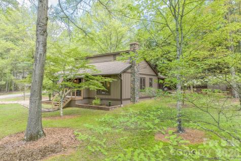 22 Dalonigei Court Brevard NC 28712