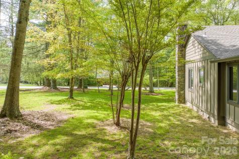 22 Dalonigei Court Brevard NC 28712