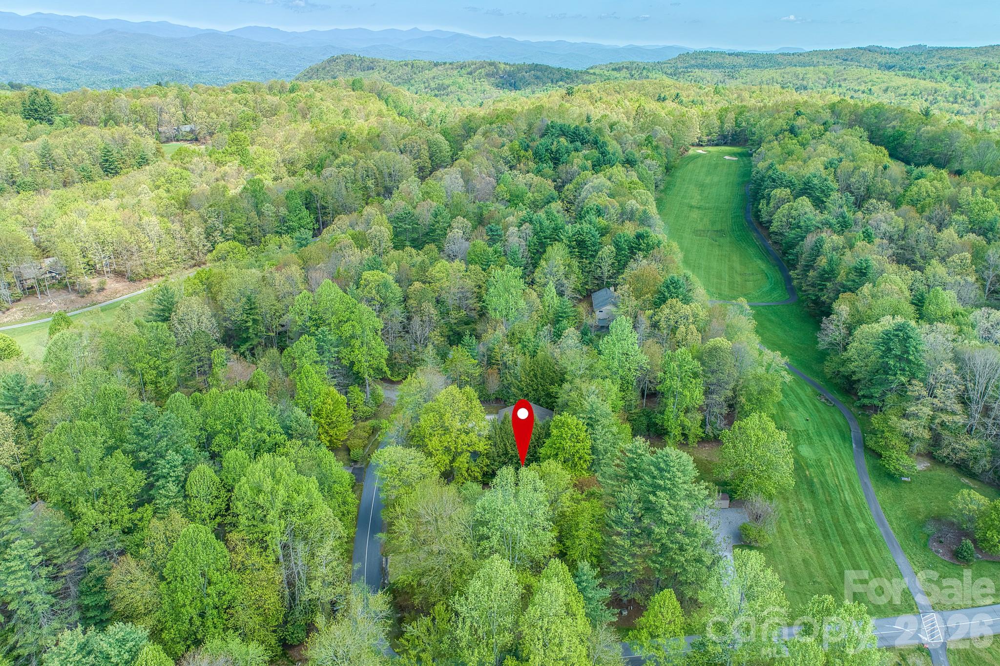 22 Dalonigei Court Brevard NC 28712